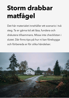 Omslag: storm drabbar matfågel