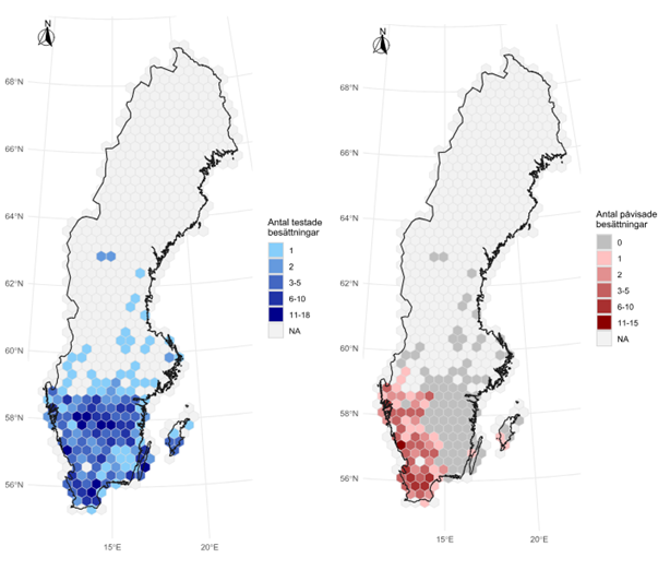 Karta över besättningar i Sverige som var positiva för blåtunga i tankmjölkscreening. 