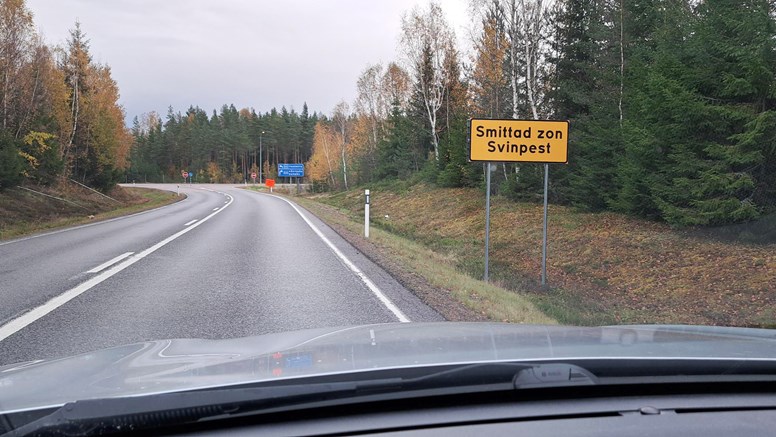 Inifrån bil ses vid vägkanten gul skylt med text Smittad zon svinpest.