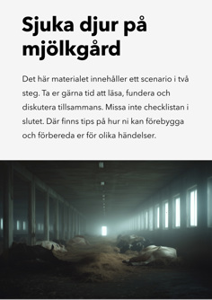 Sjuka kor i ladugård