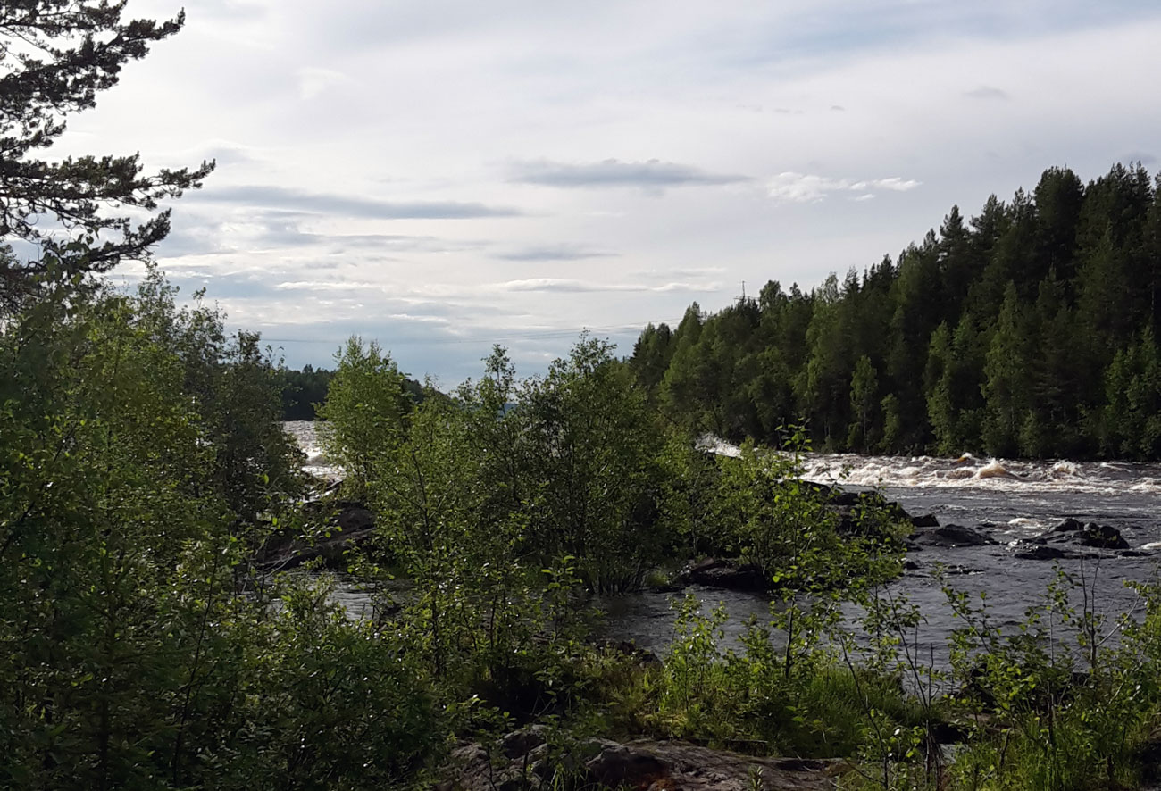 Torneälven, utsikt från Matkakoski.