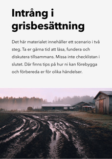 Omslag: intrång i grisbesättning