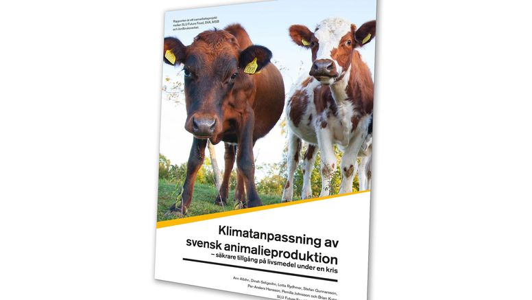 Ny rapport om hur tillgång på livsmedel ska säkras under kris.