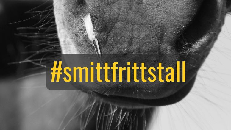 Kampanjen samlas under hashtaggen #smittfrittstall. Bild: hastnaringen.se.