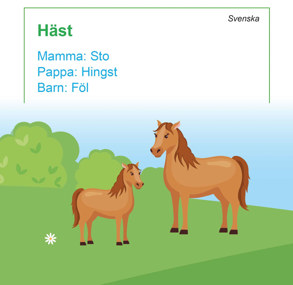 Sto och föl.