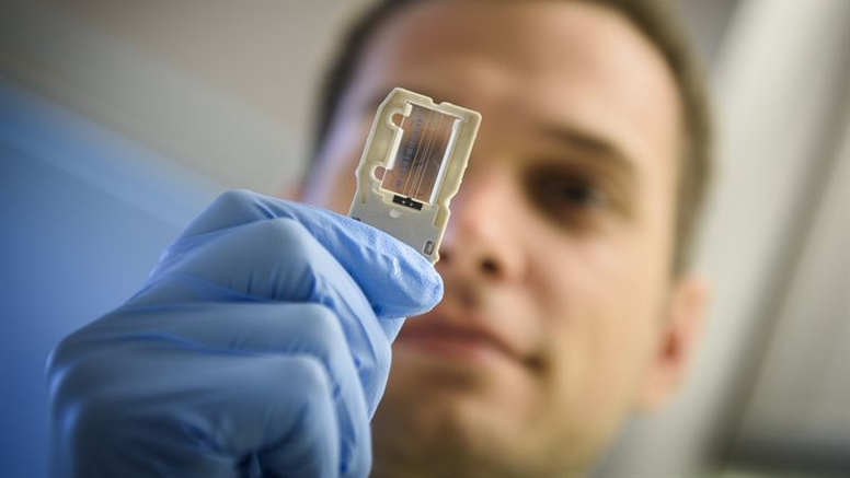 Robert Söderlund tittar på en så kallad flowcell, som används för helgenomsekvensiering i en MiSeq-apparat. Foto: Magnus Aronson