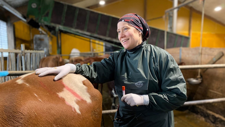 Genrebild veterinär